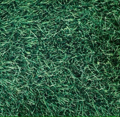 Чехол для подушки 45*45 см Fleola grass